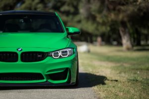 green-1031560_1280